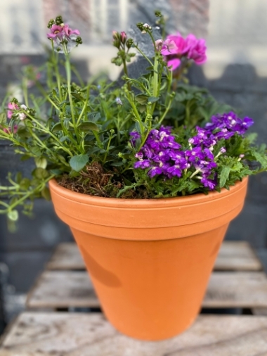Outdoor Planter delivered same day in Eastbourne