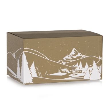 Alcohol Free Carton