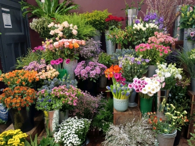 Florist Flowers vs Supermarket Flowers: Why the Difference Is Bigger Than You Think