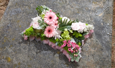 Cushions and Pillows