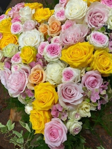 Heart Pastel Colours